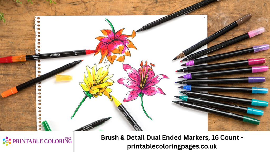 Brush & Detail Dual Ended Markers, 16 Count - printablecoloringpages.co.uk