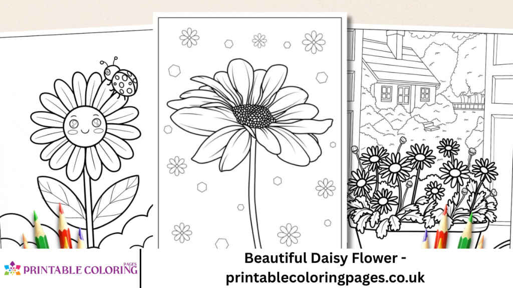 Beautiful Daisy Flower - printablecoloringpages.co.uk